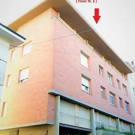 Pisa City Lodge Bed and breakfast
